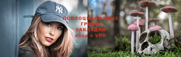 соль ск Алзамай