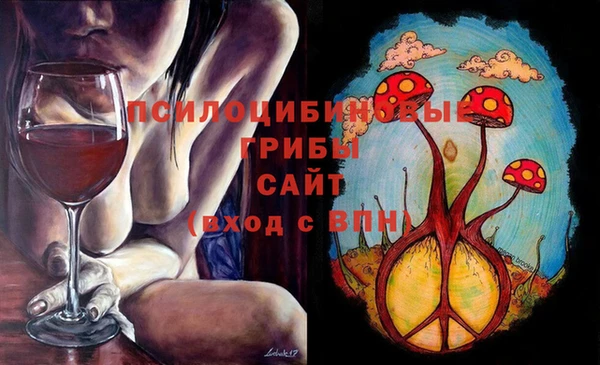 героин Алексин