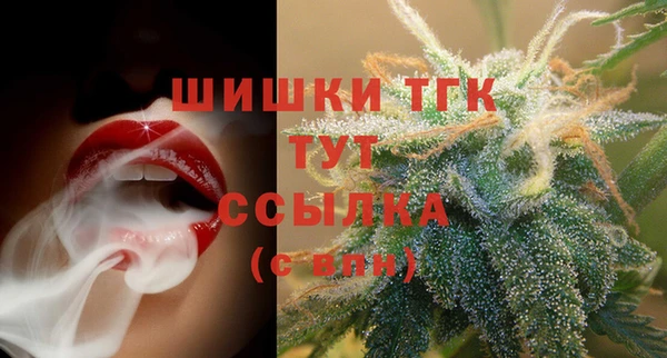 соль ск Алзамай