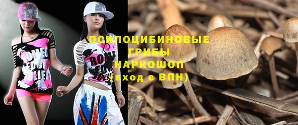 героин Алексин