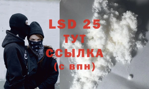 спиды Пересвет